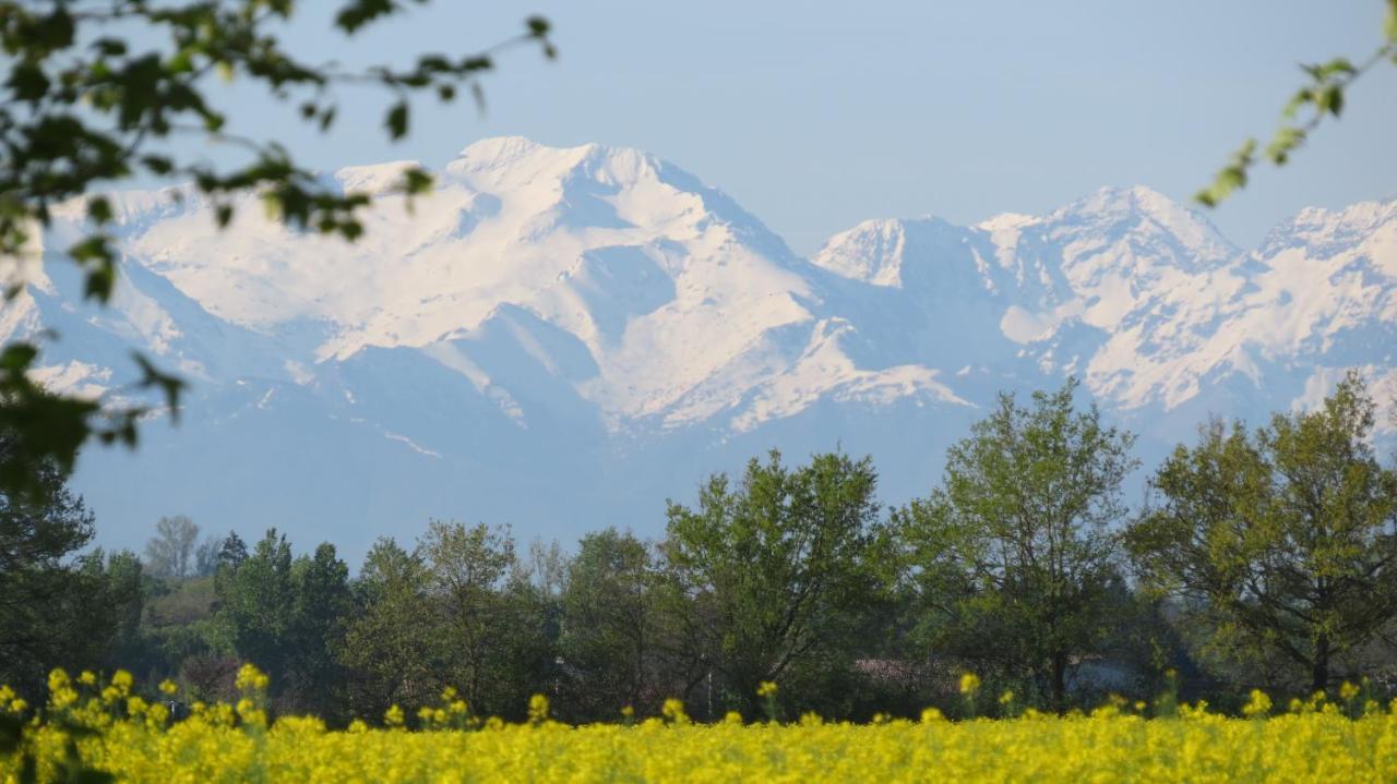 Lamasquere Gite La Tourasse Les Tournesols מראה חיצוני תמונה